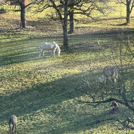 Blue Sky Apartamento Bled