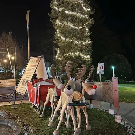 Blue Sky Apartma Bled