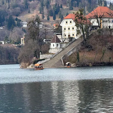 Blue Sky Bled