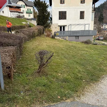 아파트 Blue Sky 블레드