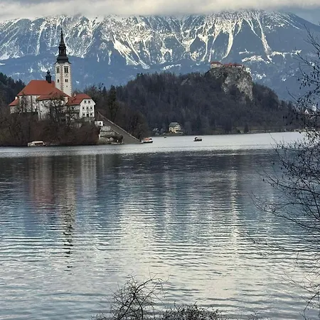 Blue Sky Bled