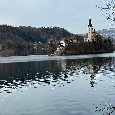 Blue Sky Apartma Bled