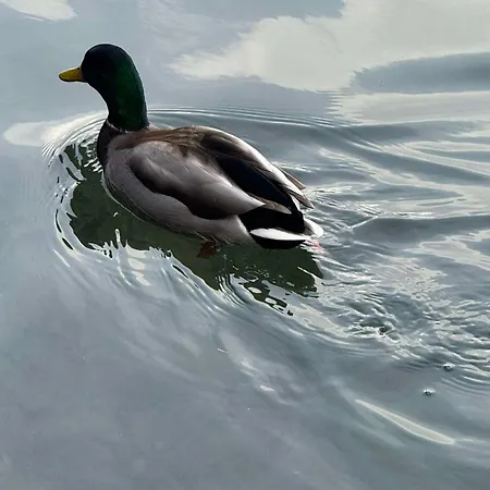 Blue Sky דירה בלד