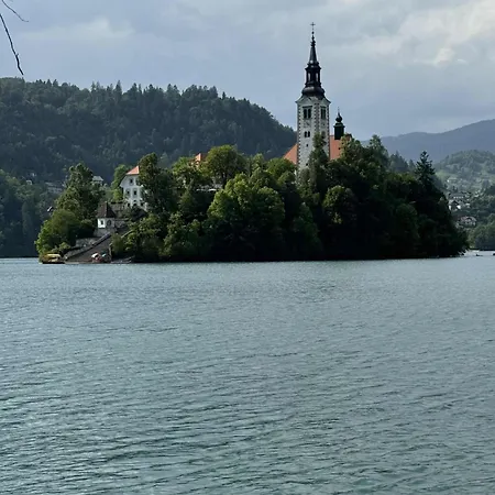 Blue Sky * Bled