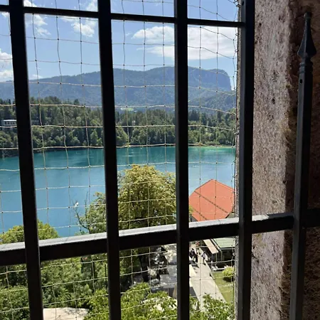 Blue Sky Bled