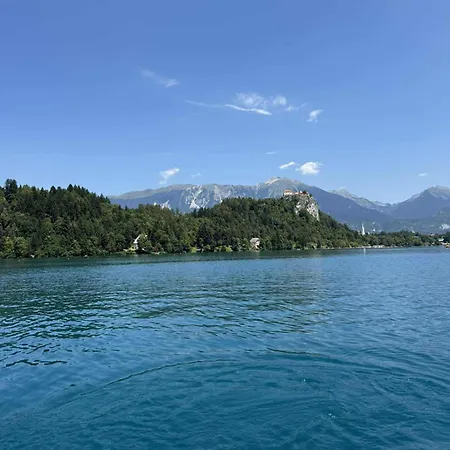 Blue Sky Daire Bled