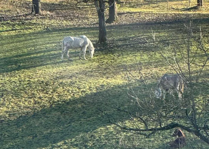 Blue Sky Appartement Bled