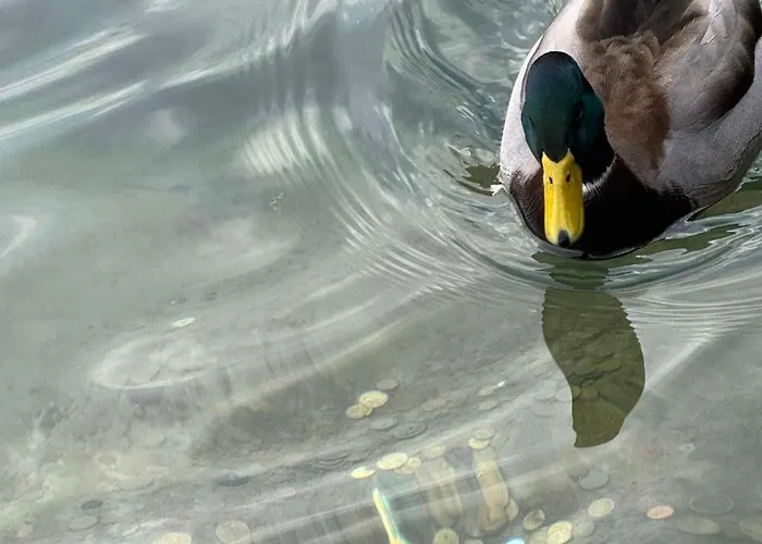 Blue Sky Appartement *