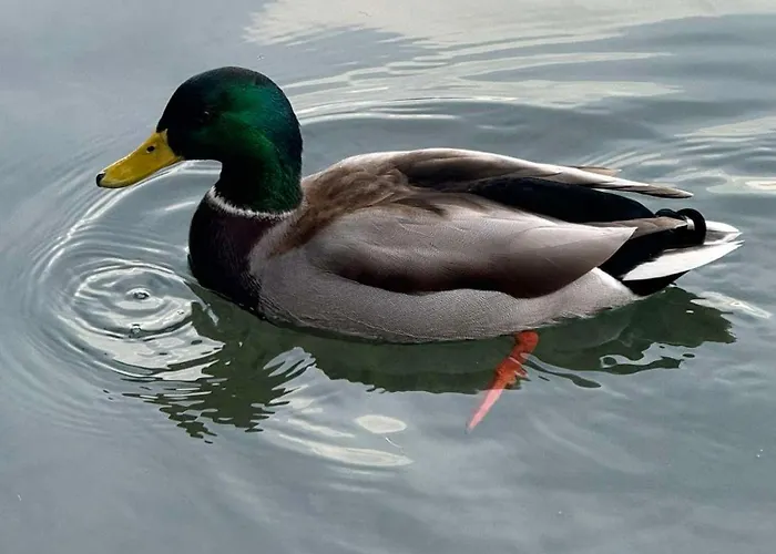Blue Sky Appartement *