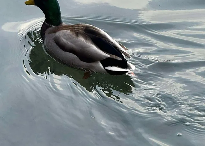 Blue Sky Appartement Bled