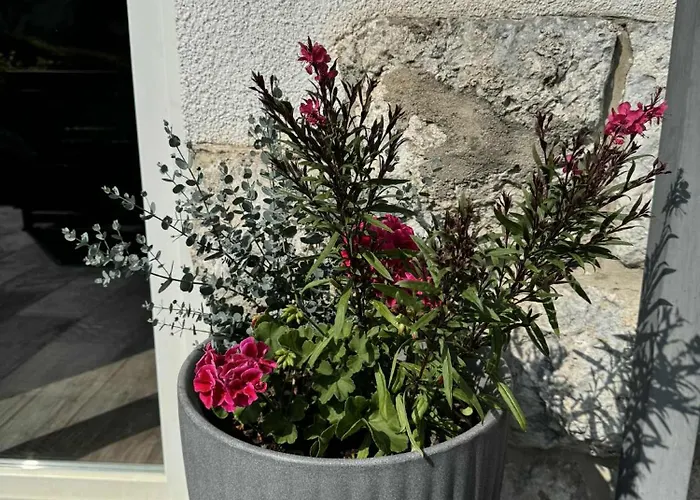 Appartement Blue Sky *